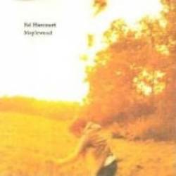 Ed Harcourt : Maplewood